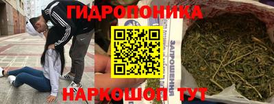 молекула духа Ливны